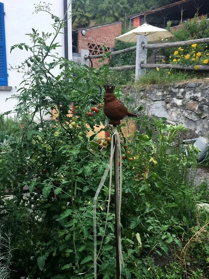 Ca' Dogana Vegia Apartment Pugerna